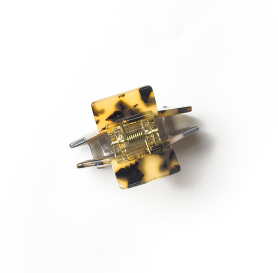 Piranha mezzo cinza e tartaruga